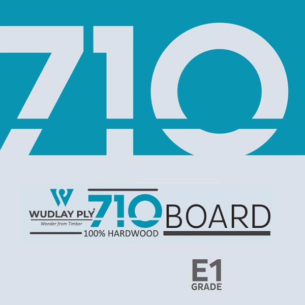 WUDLAY 710 BOARD